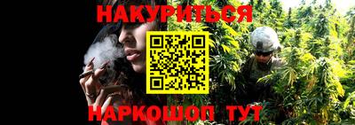 ГАЛЛЮЦИНОГЕННЫЕ ГРИБЫ Пугачёв