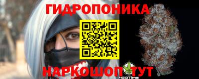ГАЛЛЮЦИНОГЕННЫЕ ГРИБЫ Пугачёв