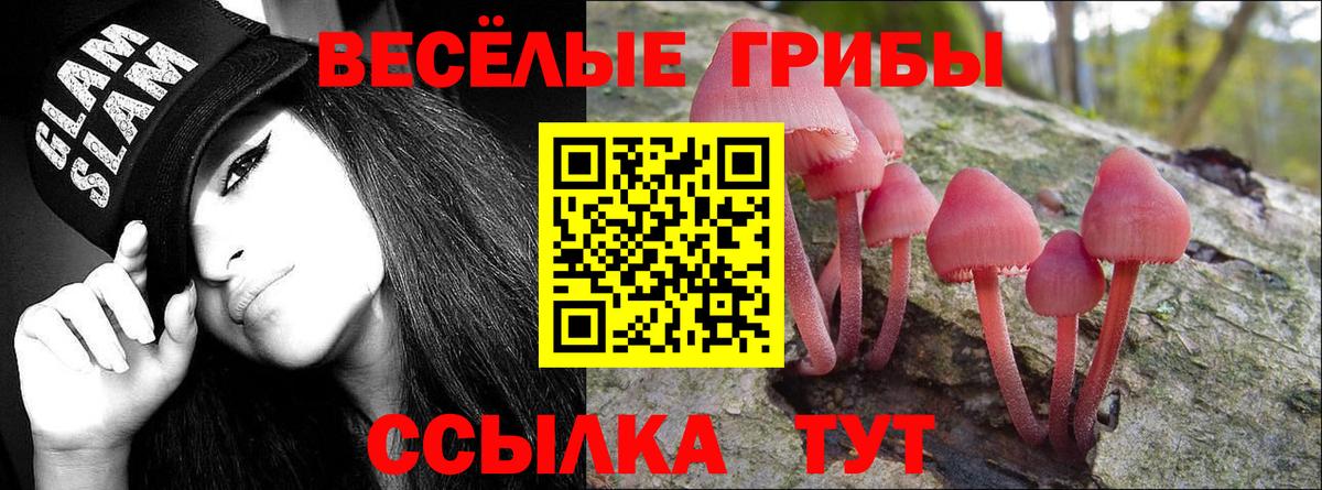хочу   Вход с VPN  Серов  Псилоцибиновые грибы Magic Shrooms 